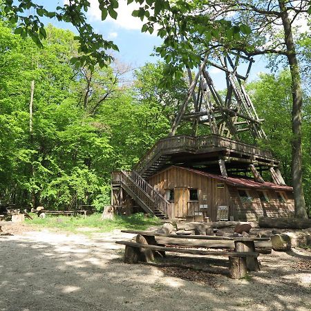 Ochys Waldfreizeitpark Villa Oberkreuzstetten Екстериор снимка